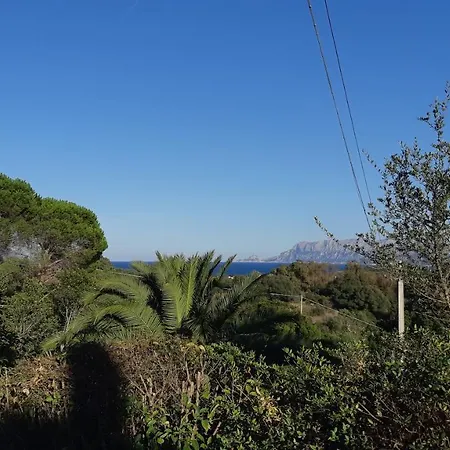 La Casa Di Giù Appartamento