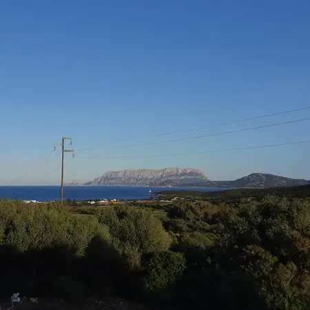 Apartment La Casa Di Giu Olbia